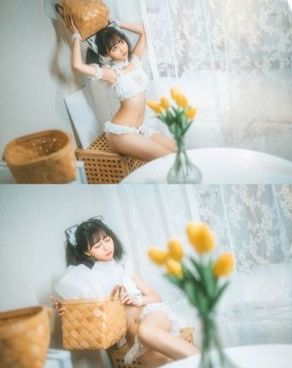 春光烂漫海棠红