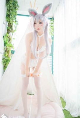 萌鸡小队动画片全集中文版免费