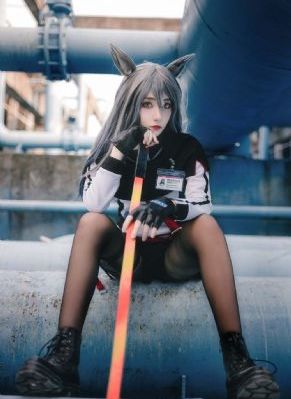 潮与虎