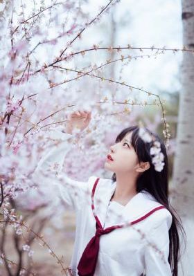 晴天影视app