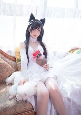 第九区2